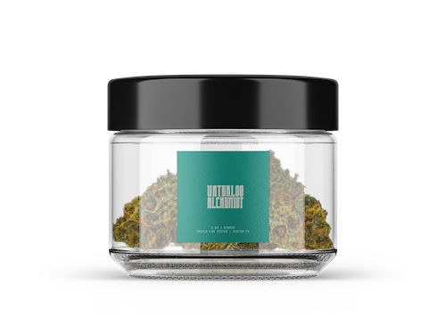 Hybrid jar of flower
